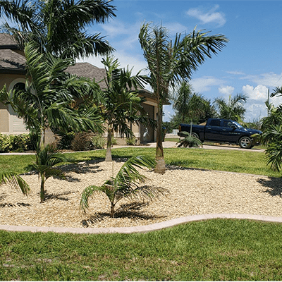 Landscape Designer
